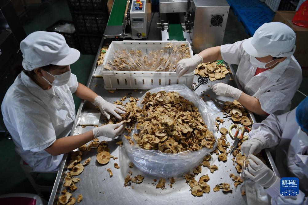 足球现金盘